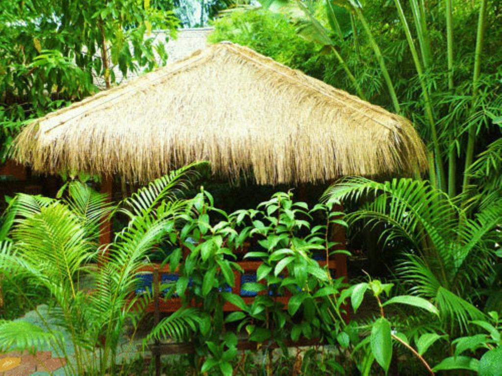 Forest King Hotel 暹粒 外观 照片